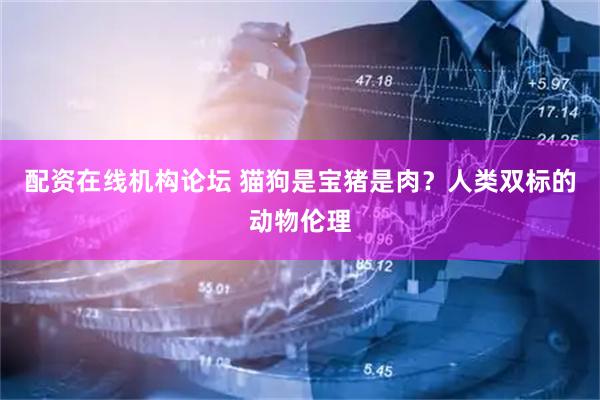 配资在线机构论坛 猫狗是宝猪是肉？人类双标的动物伦理